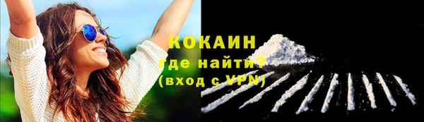 стаф Богородск