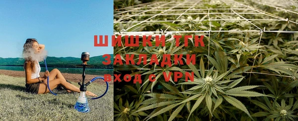 эйфоретик Богданович
