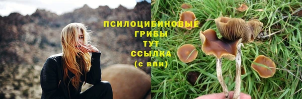 эйфоретик Богданович