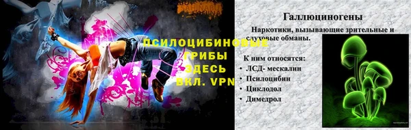 стаф Богородск