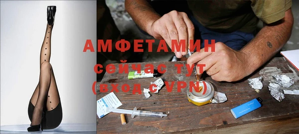 ГАЛЛЮЦИНОГЕННЫЕ ГРИБЫ Покровск